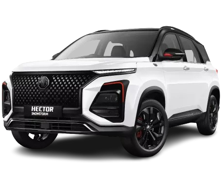 mg-img-dsc-0146-removebg-preview